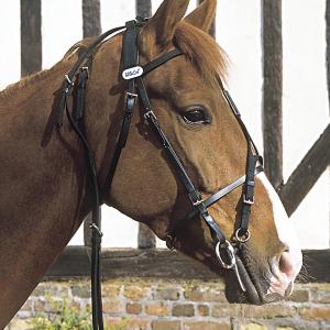 Horse Winner vente de matériel d'équitation - Bride beta Walsh